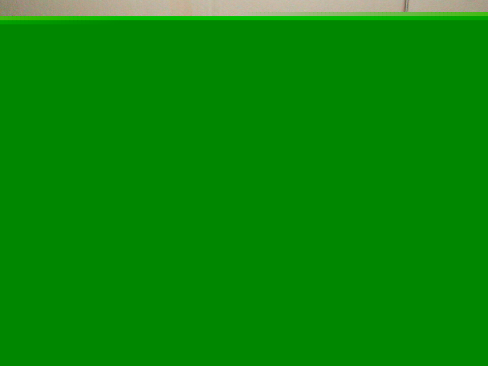 Razor wire, with clips, 30