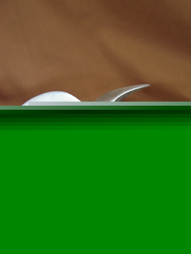 Propeller, mixing, 316 ss, 15