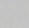 1LB hi temp resistant silver powder coat paint