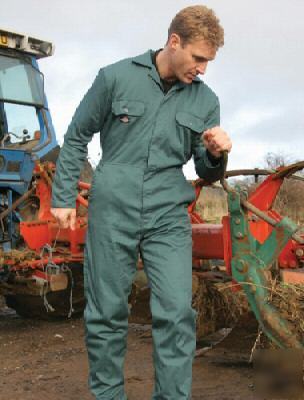 Dickies redhawk economy stud front coverall,royal small