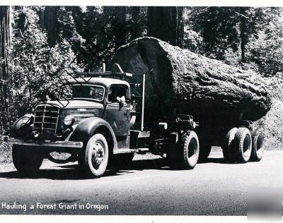 Oregon logging 1930S 8X10 photo, chain drive mack er/es